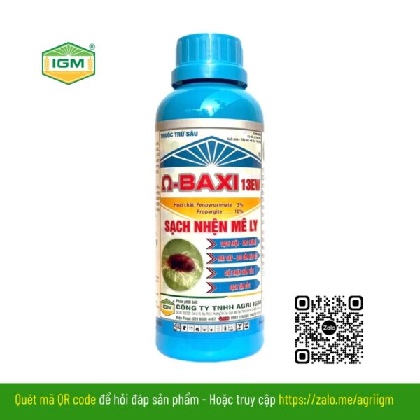 Baxi 13EW - SẠCH NHỆN MÊ LY