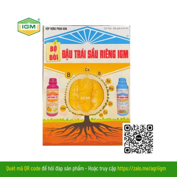 Bộ Đôi Đậu Trái Sầu Riêng IGM - Ảnh 3