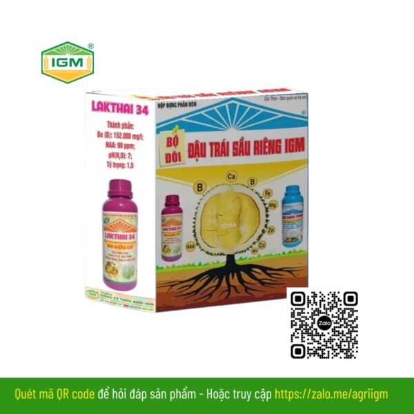 Bộ Đôi Đậu Trái Sầu Riêng IGM