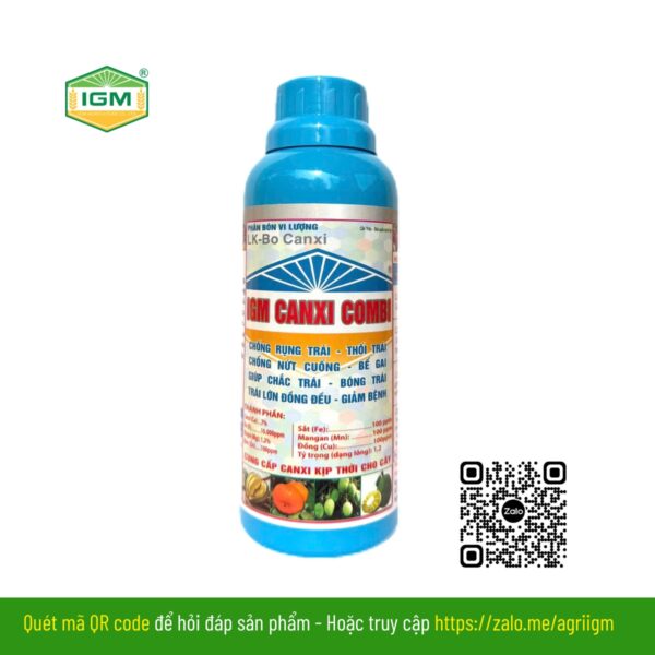 IGM CANXI COMBI