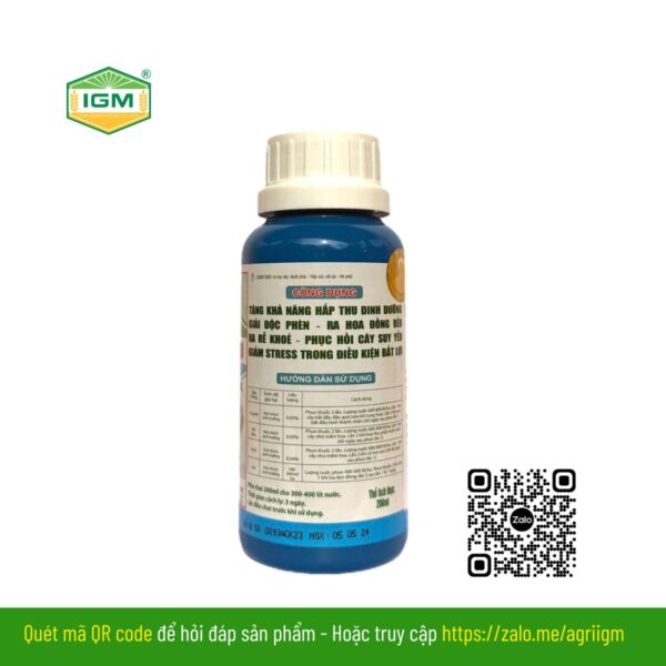 IGM PLUS - Ảnh 3