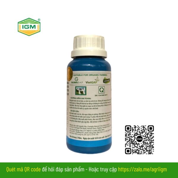 IGM PLUS - Ảnh 2