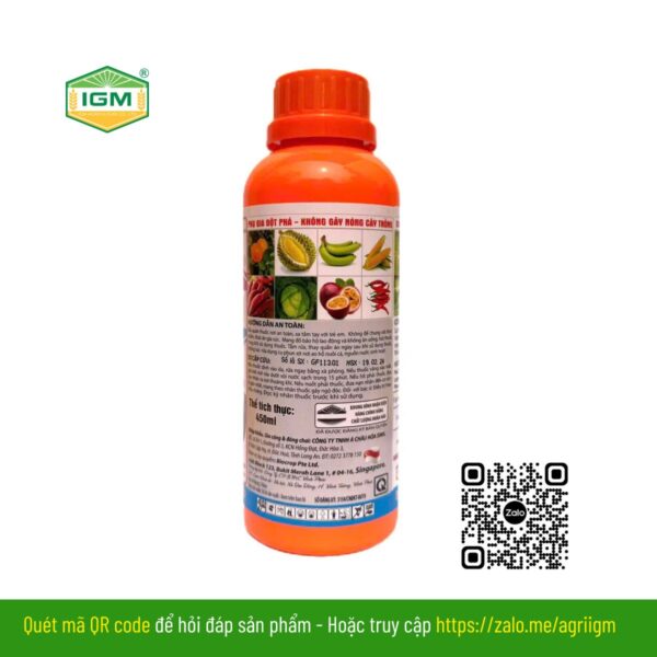 IGM SPATAR - Ảnh 3