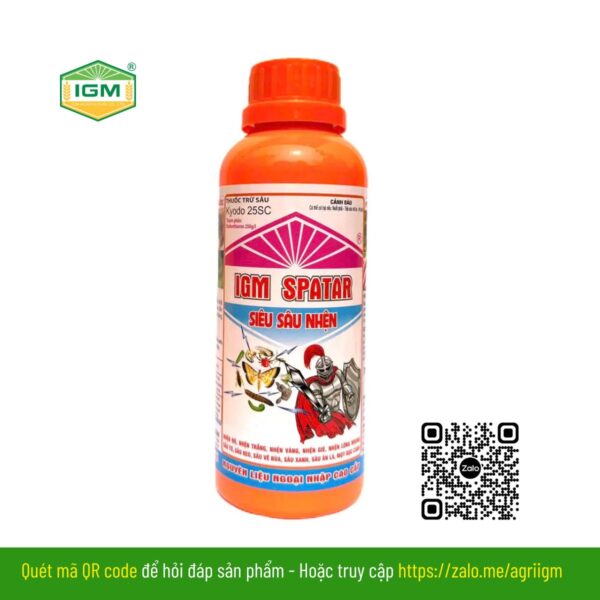 IGM SPATAR