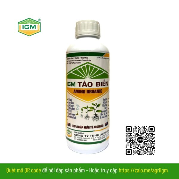 IGM TẢO BIỂN - AMINO ORGANIC - Ảnh 2