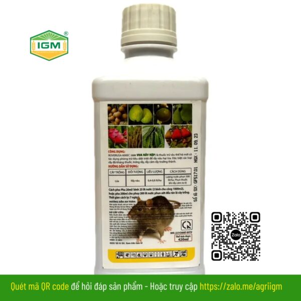 IGM Vua Rầy Rệp - Ảnh 2