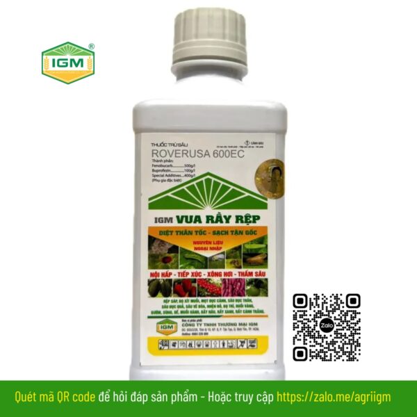 IGM Vua Rầy Rệp