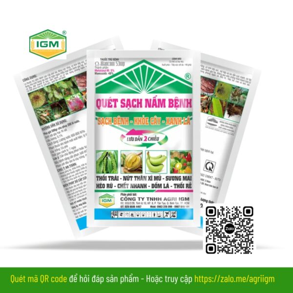 Quét Sạch Nấm Bệnh
