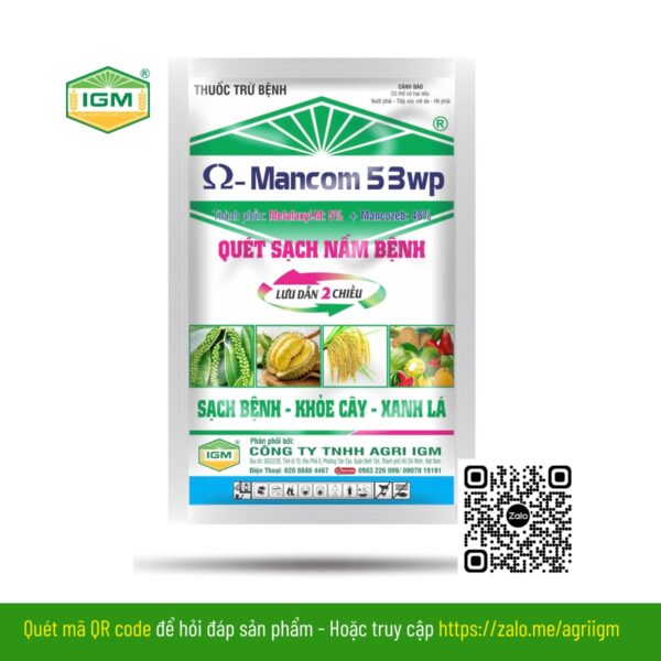 Ω - Mancom 53WP - Ảnh 2