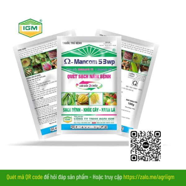 Ω - Mancom 53WP