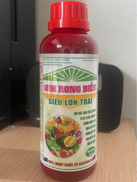 IGM RONG BIỂN (Siêu Lớn Trái): 500ml - Ảnh 2