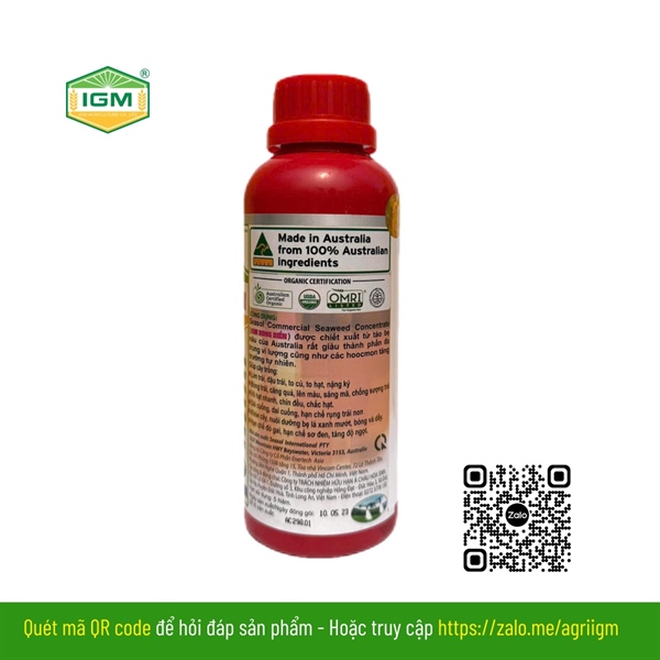 IGM RONG BIỂN (Siêu Lớn Trái): 500ml - Ảnh 3