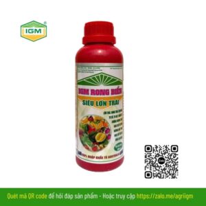 IGM RONG BIỂN (Siêu Lớn Trái): 500ml