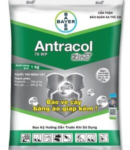 Antracol 700WP 100gr