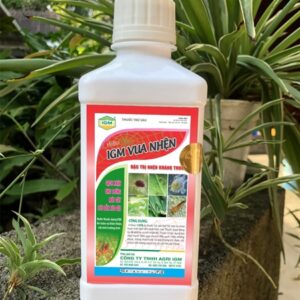 Baxi 13EW (IGM VUA NHỆN): 420ml