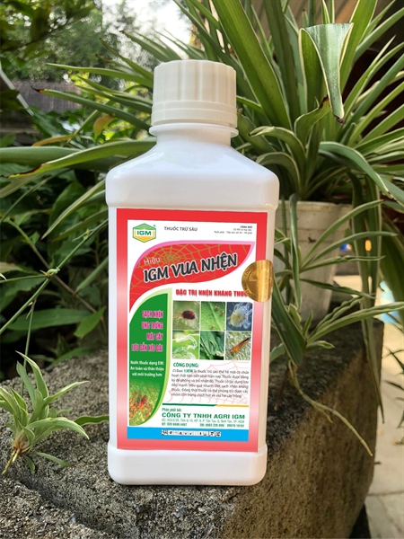 Baxi 13EW (IGM VUA NHỆN): 420ml