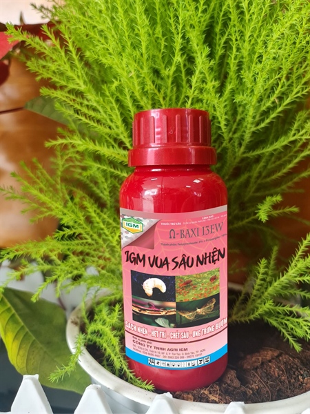 Baxi 13EW (IGM VUA SÂU NHỆN): 450ml - Ảnh 2