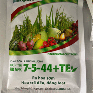 7-5-44 (250g) Hợp Trí