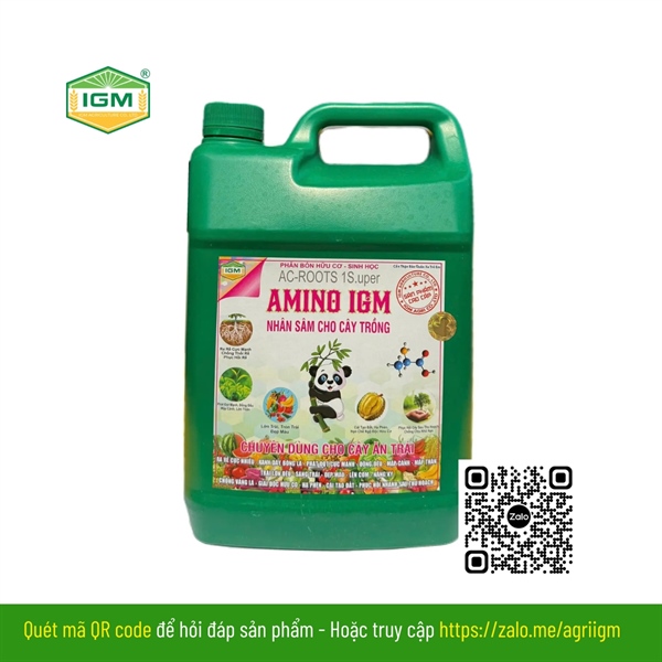 AMINO IGM (Gấu Panda): Can 5 lít
