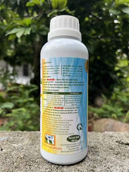 IGM TẢO BIỂN - VUA LỚN TRÁI: 500ml - Ảnh 3