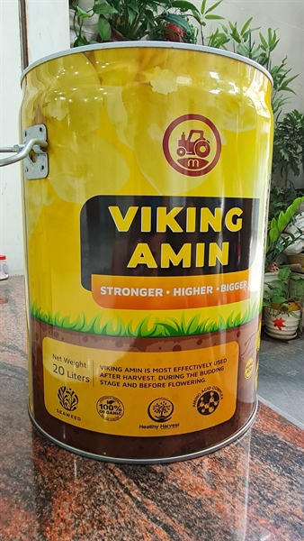 IGM VIKING AMIN: Can 20Lit - Ảnh 4