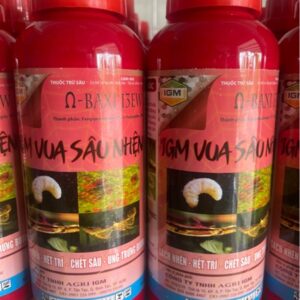 Baxi 13EW (IGM VUA SÂU NHỆN): 450ml