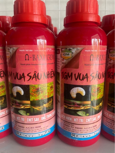 Baxi 13EW (IGM VUA SÂU NHỆN): 450ml