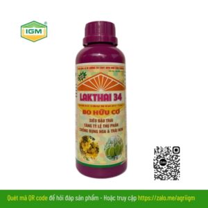 LAKTHAI 34 (Bo Hữu Cơ): 500ml