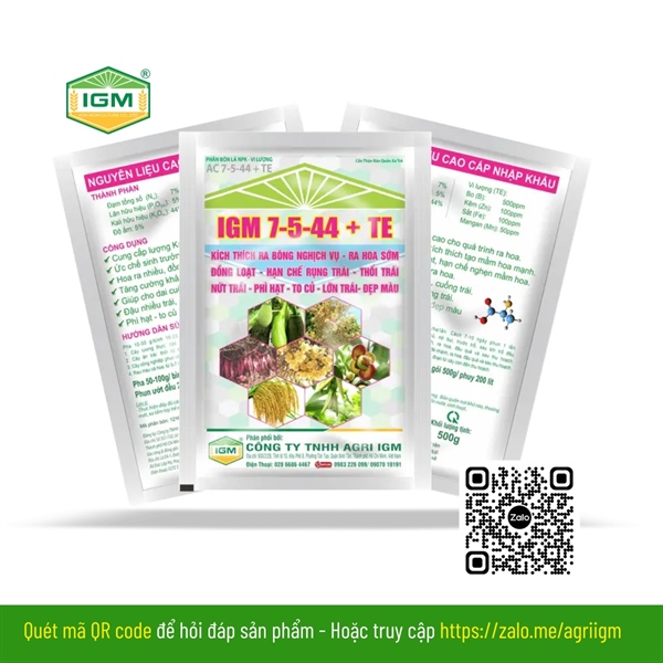 IGM 7-5-44+TE: 500gr