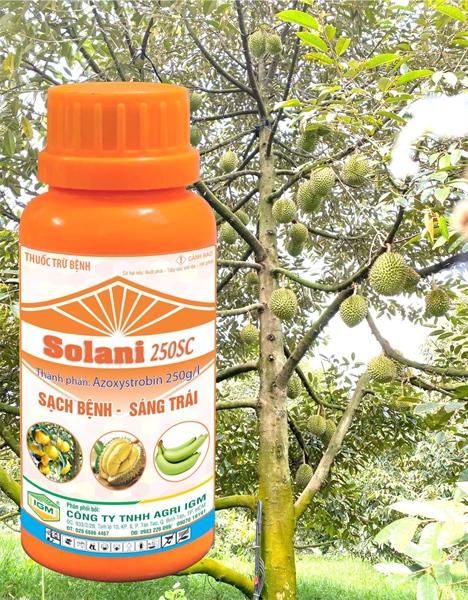 Solani 250SC (SẠCH BỆNH - SÁNG TRÁI): 200ml - Ảnh 4