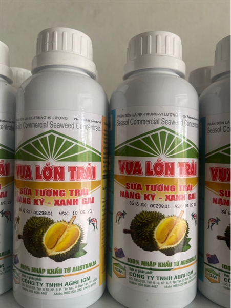 IGM TẢO BIỂN - VUA LỚN TRÁI: 500ml - Ảnh 2