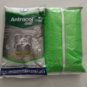 ANTRACOL 70WP 1KG