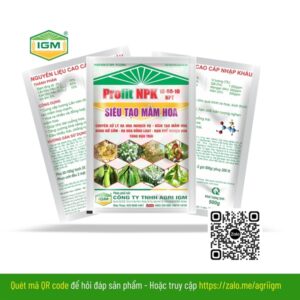 Profit NPK 10-60-10 (SIÊU TẠO MẦM HOA): 500gr