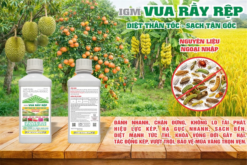IGM VUA RẦY RỆP 600EC: 420ml