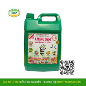 AMINO IGM (Gấu Panda): Can 5 lít