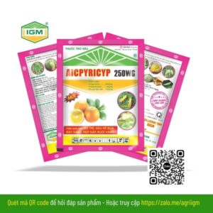 AICPYRICYP 250WG (Trái Cam): 50gr