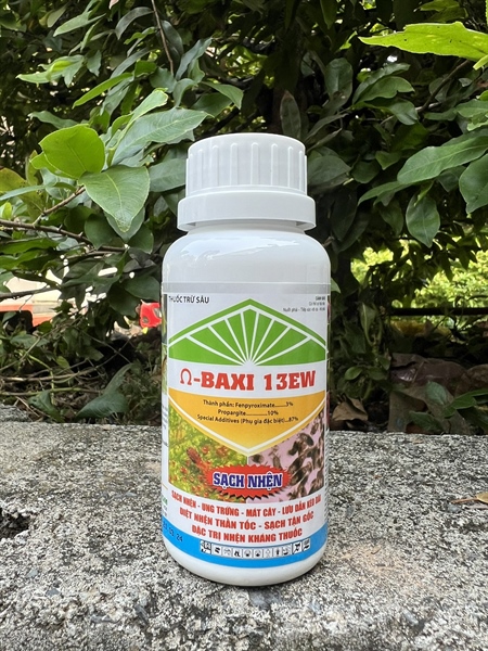 Baxi 13EW (SẠCH NHỆN): 240ml